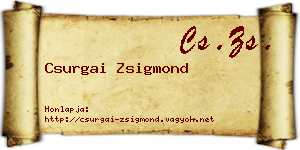 Csurgai Zsigmond névjegykártya