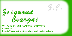 zsigmond csurgai business card